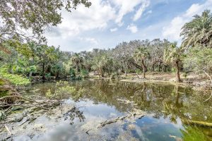 Luxury Ponce Inlet Florida Real Estate